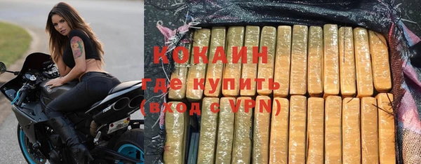 твердый Алексин