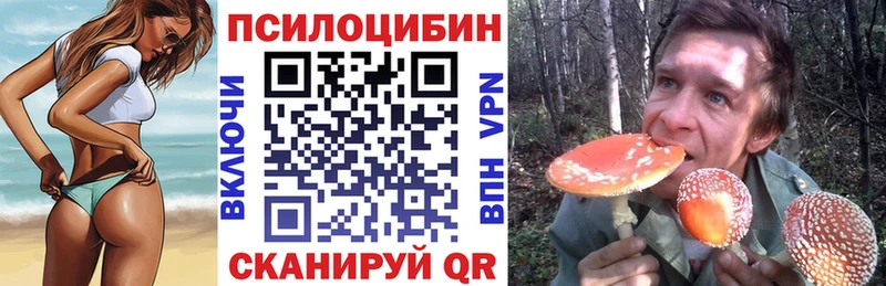 Галлюциногенные грибы Psilocybine cubensis  магазин продажи   Чулым 
